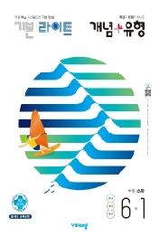 개념+유형 초등 수학 라이트 6-1 (2021년)