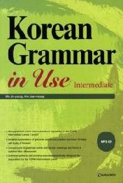 Korean Grammar in use intermediate